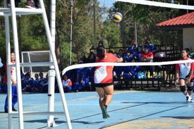 DSC_0050_600_400.jpg