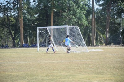 DSC_0859_600_400.jpg